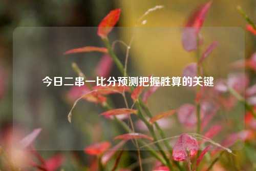 今日二串一比分预测把握胜算的关键