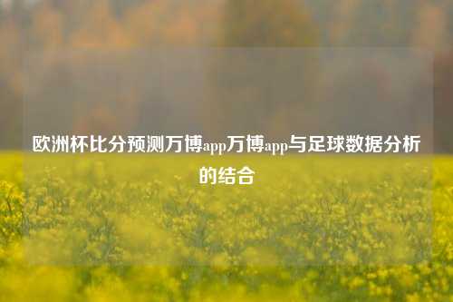 欧洲杯比分预测万博app万博app与足球数据分析的结合