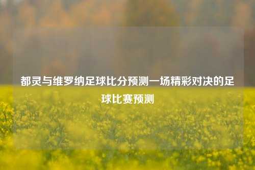 都灵与维罗纳足球比分预测一场精彩对决的足球比赛预测