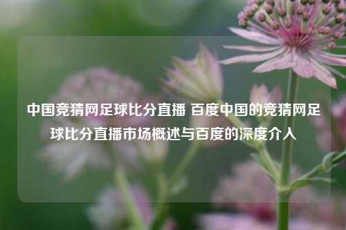 中国竞猜网足球比分直播 百度中国的竞猜网足球比分直播市场概述与百度的深度介入