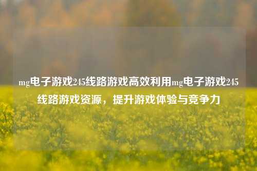 mg电子游戏245线路游戏高效利用mg电子游戏245线路游戏资源，提升游戏体验与竞争力