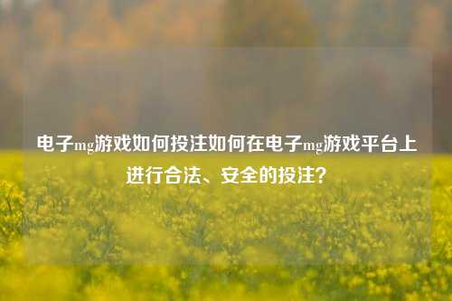 电子mg游戏如何投注如何在电子mg游戏平台上进行合法、安全的投注？