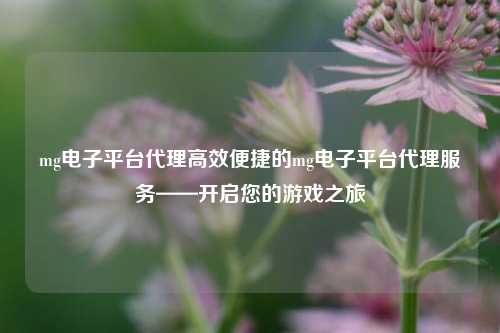 mg电子平台代理高效便捷的mg电子平台代理服务——开启您的游戏之旅