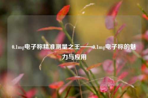 0.1mg电子称精准测量之王——0.1mg电子称的魅力与应用