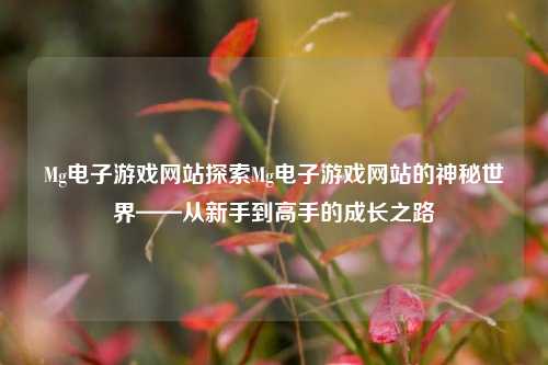 Mg电子游戏网站探索Mg电子游戏网站的神秘世界——从新手到高手的成长之路