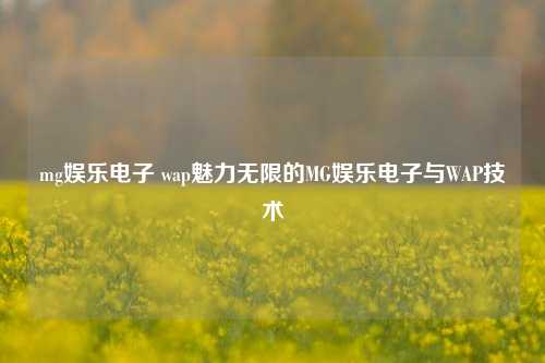 mg娱乐电子 wap魅力无限的MG娱乐电子与WAP技术