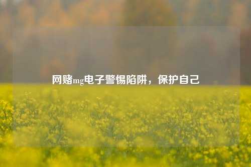 网赌mg电子警惕陷阱，保护自己