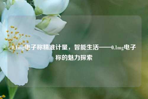 0.1mg电子称精准计量，智能生活——0.1mg电子称的魅力探索