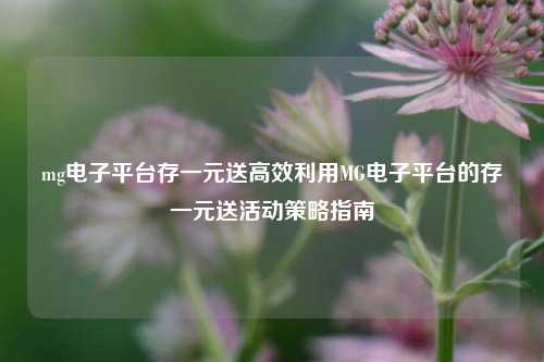 mg电子平台存一元送高效利用MG电子平台的存一元送活动策略指南
