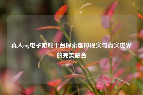 真人mg电子游戏平台探索虚拟现实与真实世界的完美融合