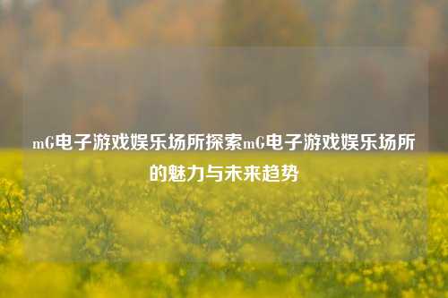 mG电子游戏娱乐场所探索mG电子游戏娱乐场所的魅力与未来趋势