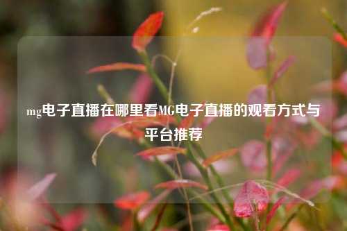 mg电子直播在哪里看MG电子直播的观看方式与平台推荐