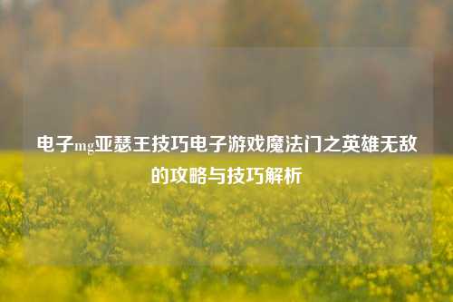 电子mg亚瑟王技巧电子游戏魔法门之英雄无敌的攻略与技巧解析