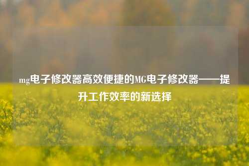 mg电子修改器高效便捷的MG电子修改器——提升工作效率的新选择