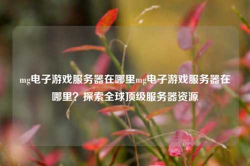 mg电子游戏服务器在哪里mg电子游戏服务器在哪里？探索全球顶级服务器资源