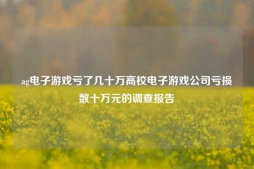 ag电子游戏亏了几十万高校电子游戏公司亏损数十万元的调查报告