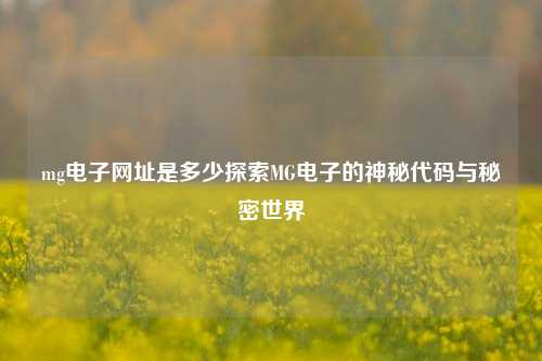 mg电子网址是多少探索MG电子的神秘代码与秘密世界