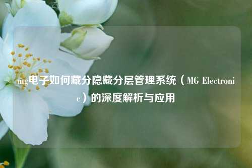 mg电子如何藏分隐藏分层管理系统（MG Electronic）的深度解析与应用
