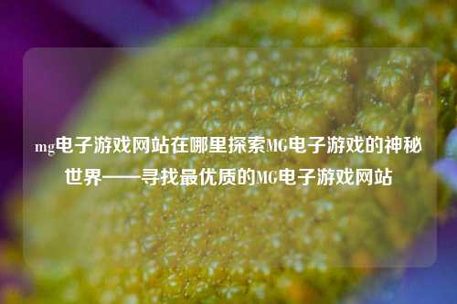 mg电子游戏网站在哪里探索MG电子游戏的神秘世界——寻找最优质的MG电子游戏网站