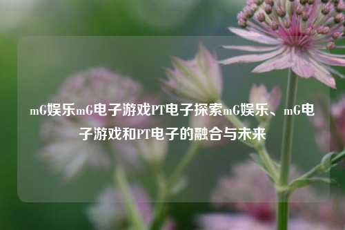 mG娱乐mG电子游戏PT电子探索mG娱乐、mG电子游戏和PT电子的融合与未来