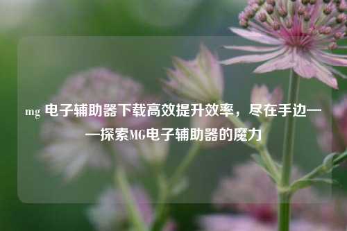 mg 电子辅助器下载高效提升效率，尽在手边——探索MG电子辅助器的魔力