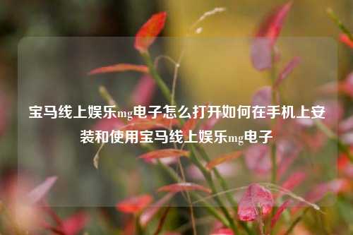 宝马线上娱乐mg电子怎么打开如何在手机上安装和使用宝马线上娱乐mg电子