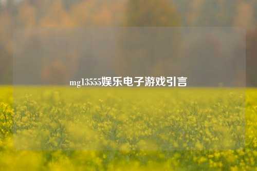 mg13555娱乐电子游戏引言