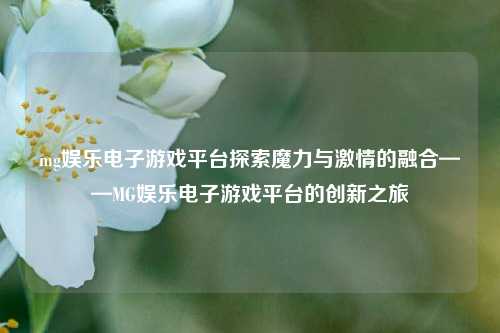 mg娱乐电子游戏平台探索魔力与激情的融合——MG娱乐电子游戏平台的创新之旅