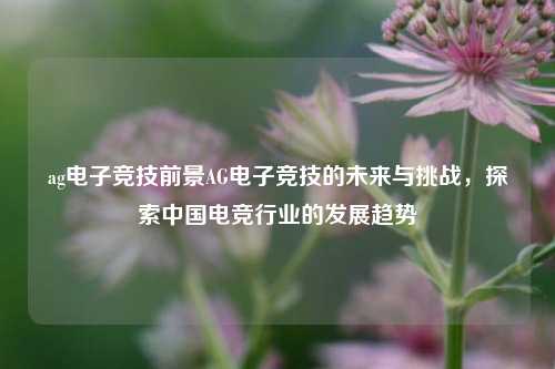 ag电子竞技前景AG电子竞技的未来与挑战，探索中国电竞行业的发展趋势