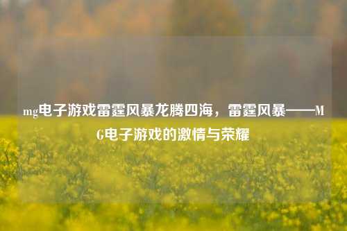 mg电子游戏雷霆风暴龙腾四海，雷霆风暴——MG电子游戏的激情与荣耀