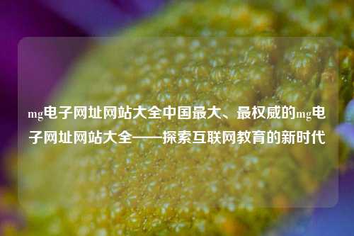 mg电子网址网站大全中国最大、最权威的mg电子网址网站大全——探索互联网教育的新时代