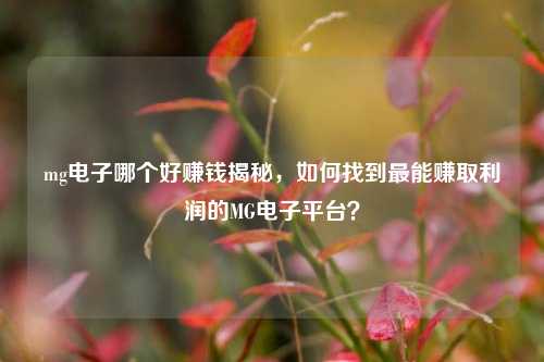 mg电子哪个好赚钱揭秘，如何找到最能赚取利润的MG电子平台？