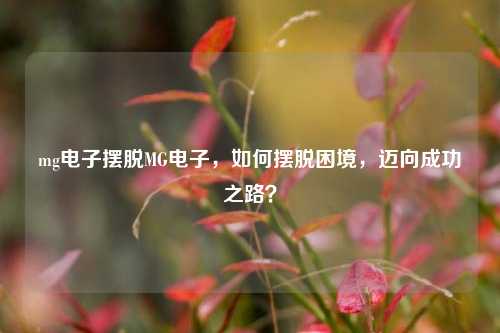 mg电子摆脱MG电子，如何摆脱困境，迈向成功之路？