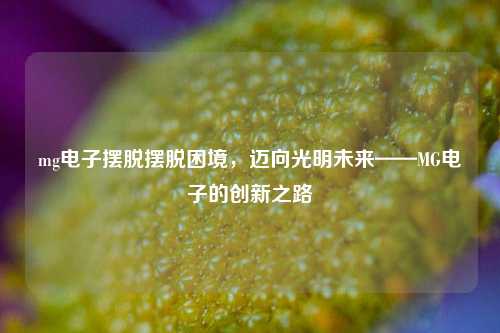 mg电子摆脱摆脱困境，迈向光明未来——MG电子的创新之路