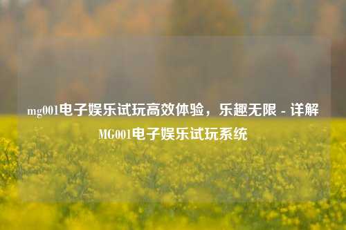 mg001电子娱乐试玩高效体验，乐趣无限 - 详解MG001电子娱乐试玩系统