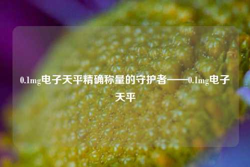 0.1mg电子天平精确称量的守护者——0.1mg电子天平
