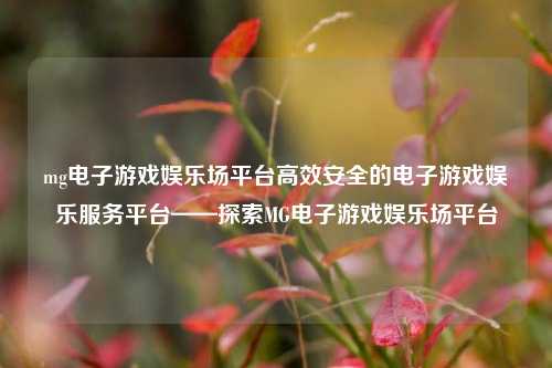 mg电子游戏娱乐场平台高效安全的电子游戏娱乐服务平台——探索MG电子游戏娱乐场平台