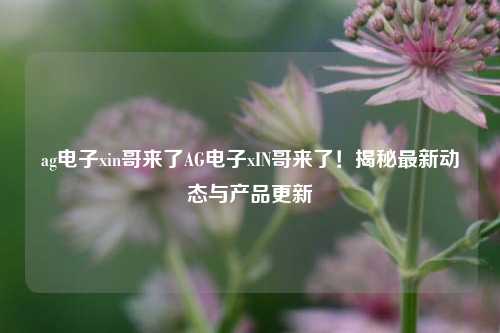 ag电子xin哥来了AG电子xIN哥来了！揭秘最新动态与产品更新