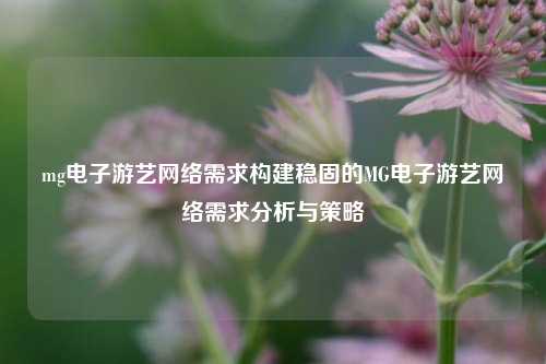 mg电子游艺网络需求构建稳固的MG电子游艺网络需求分析与策略