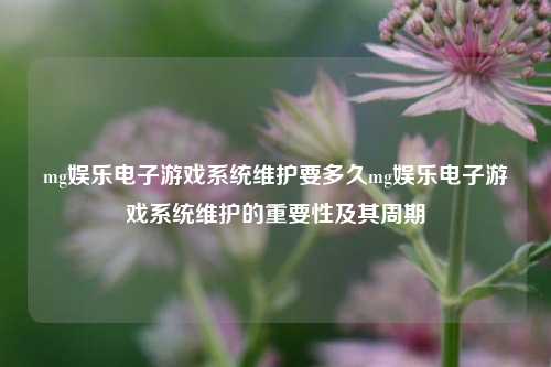 mg娱乐电子游戏系统维护要多久mg娱乐电子游戏系统维护的重要性及其周期