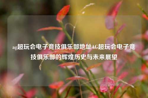 ag超玩会电子竞技俱乐部地址AG超玩会电子竞技俱乐部的辉煌历史与未来展望