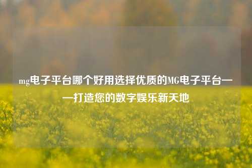 mg电子平台哪个好用选择优质的MG电子平台——打造您的数字娱乐新天地