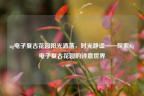 ag电子复古花园阳光洒落，时光静谧——探索Ag电子复古花园的诗意世界