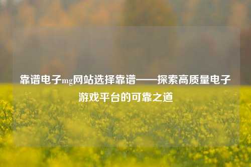 靠谱电子mg网站选择靠谱——探索高质量电子游戏平台的可靠之道