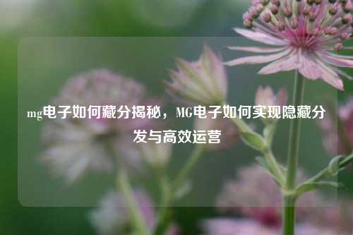 mg电子如何藏分揭秘，MG电子如何实现隐藏分发与高效运营