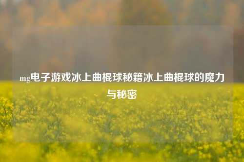 mg电子游戏冰上曲棍球秘籍冰上曲棍球的魔力与秘密