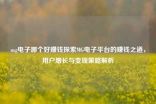 mg电子哪个好赚钱探索MG电子平台的赚钱之道，用户增长与变现策略解析