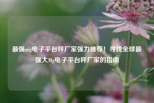 最强mg电子平台秤厂家强力推荐！寻找全球最强大Mg电子平台秤厂家的指南