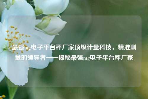 最强mg电子平台秤厂家顶级计量科技，精准测量的领导者——揭秘最强mg电子平台秤厂家