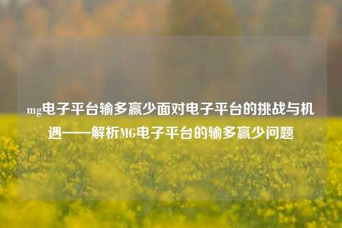 mg电子平台输多赢少面对电子平台的挑战与机遇——解析MG电子平台的输多赢少问题